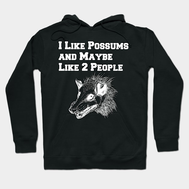 I Like Possums And Maybe Like 2 People, Funny Opossum Hoodie by lightbulbmcoc